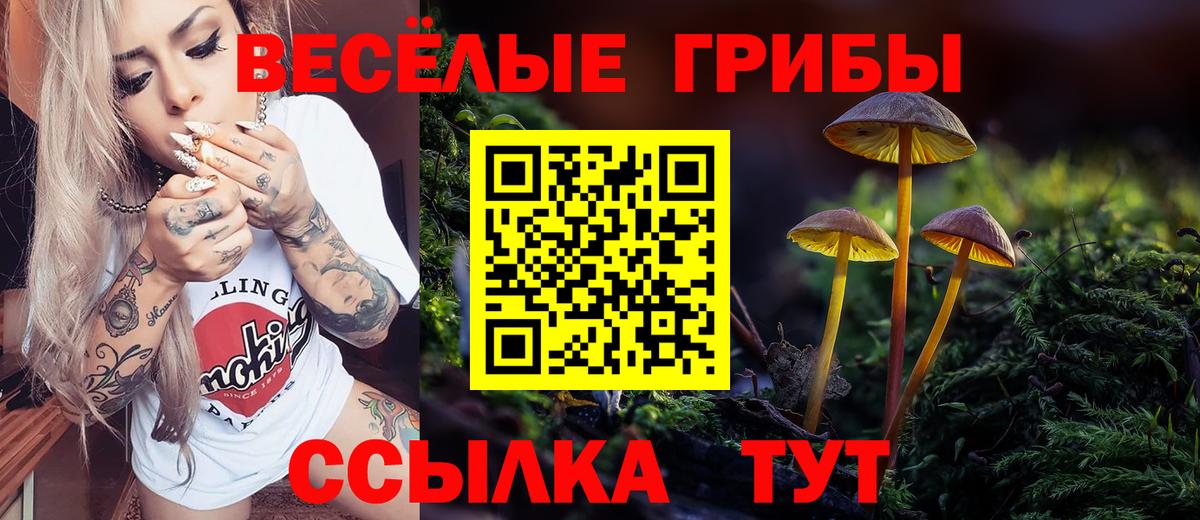 Псилоцибиновые грибы Magic Shrooms  Вход с VPN  Миасс  Псилоцибиновые грибы Psilocybe 