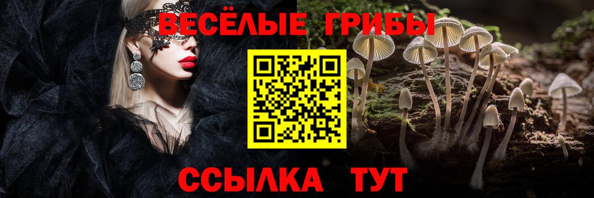 Псилоцибиновые грибы мухоморы Миасс